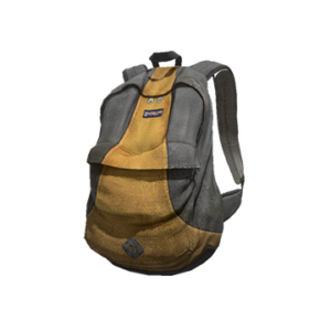 Gray and Yellow Backpack