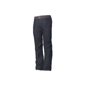 Navy Slacks